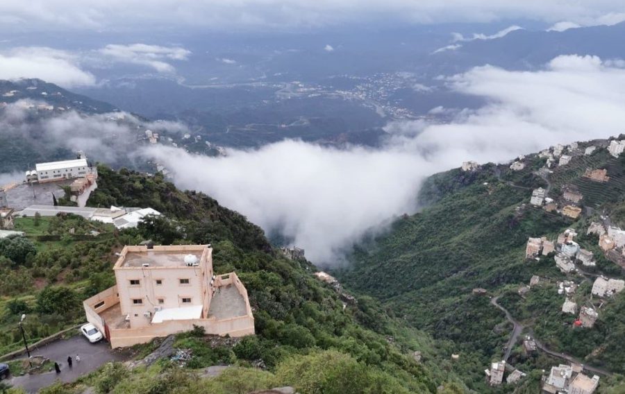 حرکت بهت آور جوان عربستانی با خودرو+ ویدئو