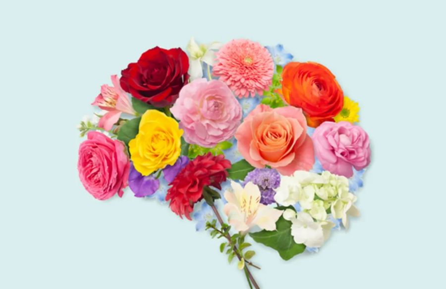 عادت شادی بخش