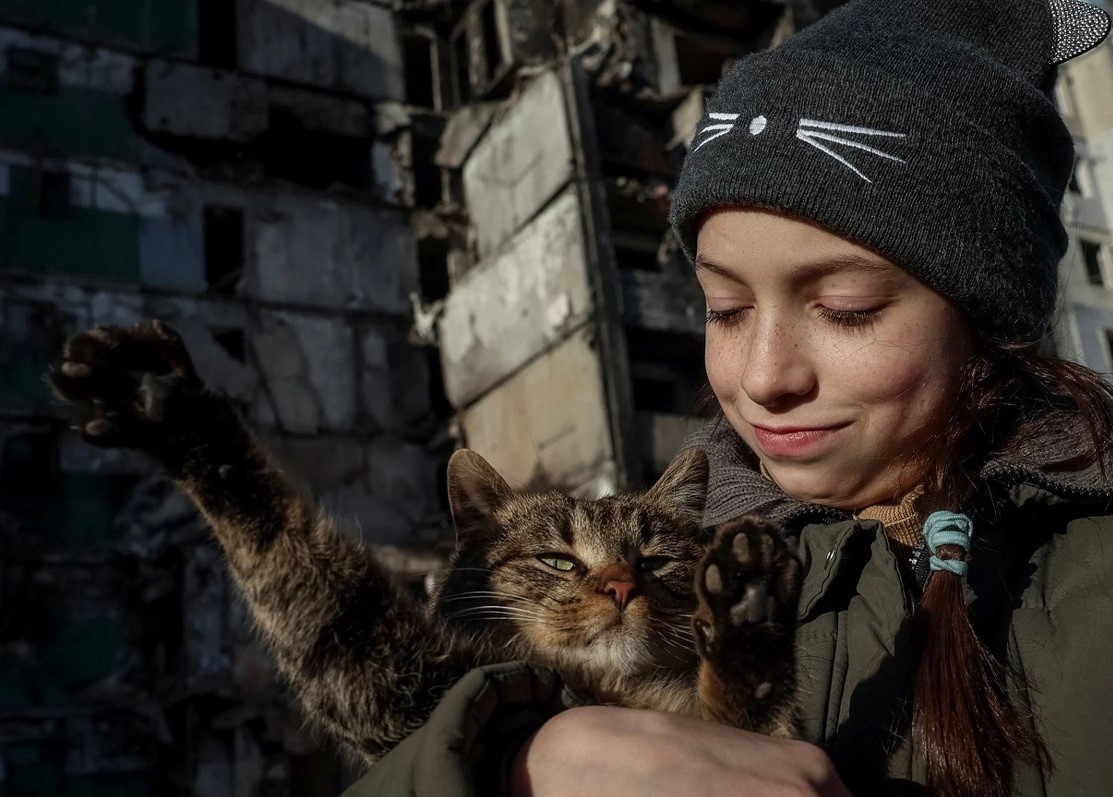 کار خیر دختر اوکراینی در حق گربه‌های آواره شده بر اثر جنگ+ ویدئو